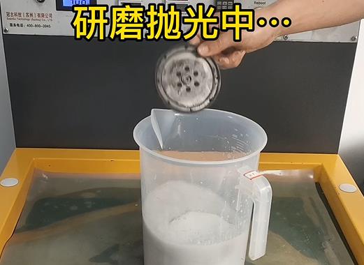 圆轮状石狮铝件样品